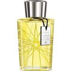 Colonia Assoluta Edizione Speciale 2013 - 10º Anniversario